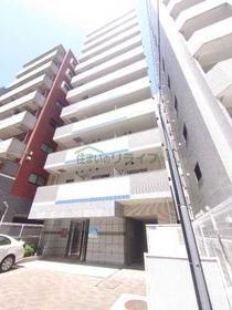 千葉県浦安市当代島１ 11階建 築17年5ヶ月