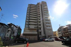 サンベルファム