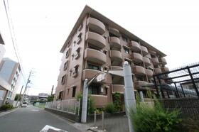 大阪府茨木市真砂３ 5階建