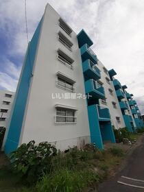 兵庫県多可郡多可町中区森本 5階建 築53年7ヶ月