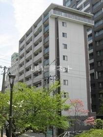 新潟県新潟市中央区万代２ 10階建 築11年4ヶ月