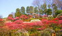 ルクレ西馬込 池上梅園公園（公園）まで427m