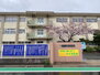 北九州市立若松中央小学校（小学校）まで854m
