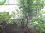 福ノ川ハイツ 植栽があります
