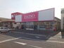 エミナールＢ ダイソーエレナ島原店（その他）まで1142m