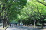 リストレジデンス桜新町 都立駒沢公園西口（公園）まで785m