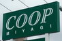 フレンドビル COOP　MIYAGI木町店（スーパー）まで384m