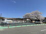 スターハイツＯＮＥ 富岡保育園（幼稚園・保育園）まで890m