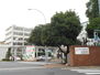 ペルシアーナ南常盤台 日本大学医学部附属板橋病院（病院）まで800m