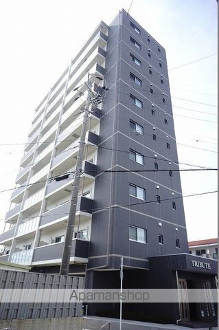 ＴＲＩＢＵＴＥ