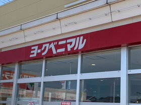 周辺環境