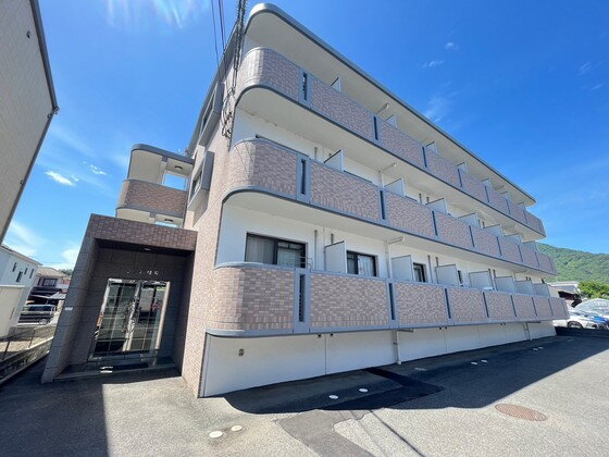 ウイル緑井