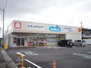 サングリーンＣ ウエルシア真岡亀山店（ドラッグストア）まで1117m