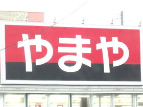 周辺環境