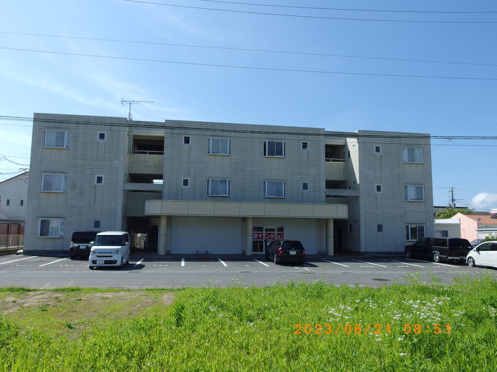 マイフィールド