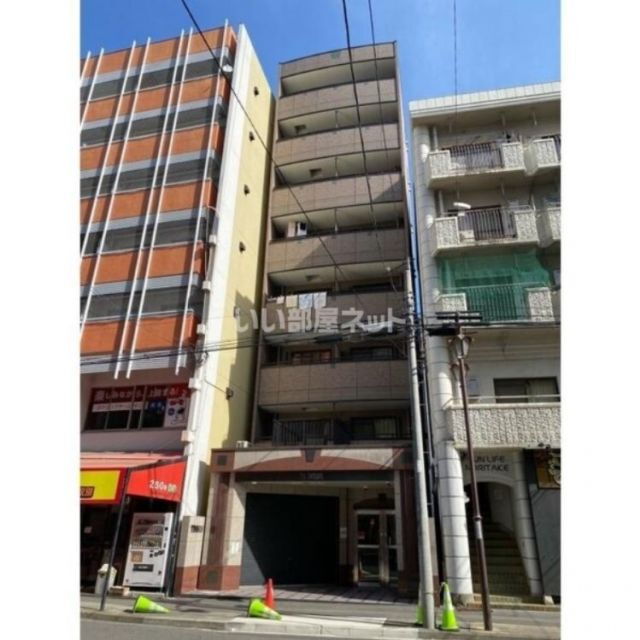 Ｔ　ｓ　Ｄｒｅａｍ