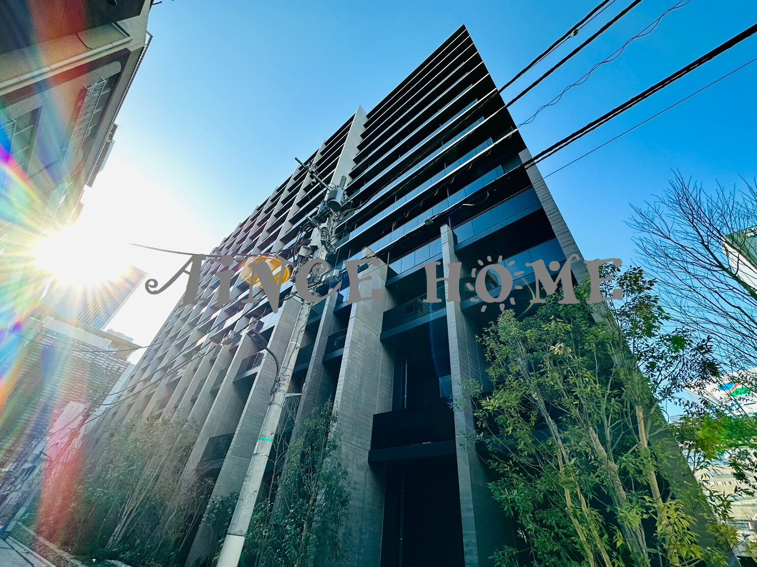 ＯＮＥ　ＲＯＯＦ　ＲＥＳＩＤＥＮＣＥ　ＴＡＭＡＣＨＩ