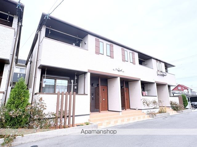 アイリス初生Ｃ
