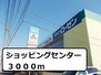 リヴィエールプラス ショッピングセンター（ショッピングセンター）まで3000m