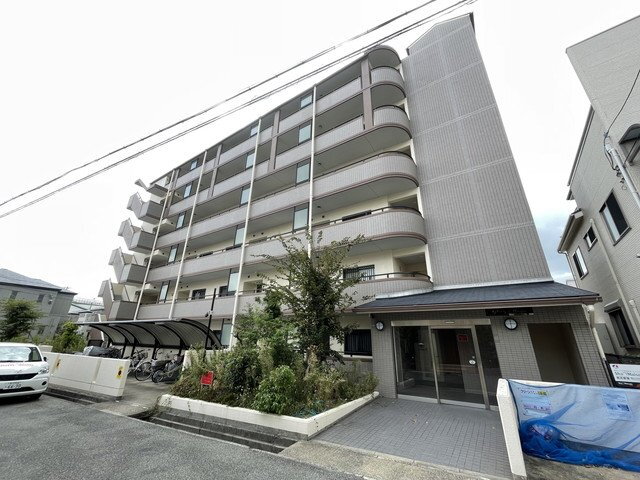 グローリー摩耶