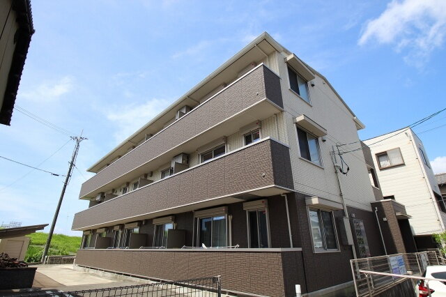 ステラ