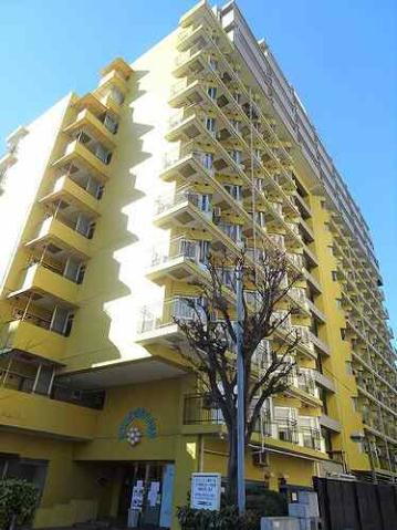 東京ベイビュウ