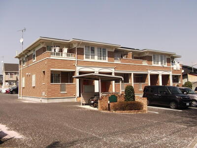 ファレノプシス