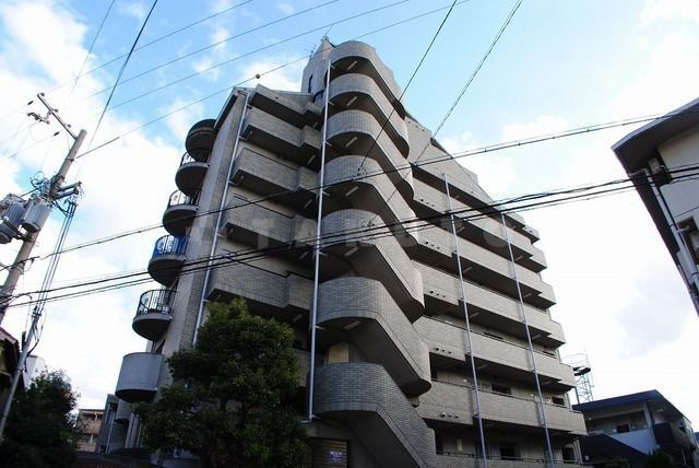 ワイズフィールド