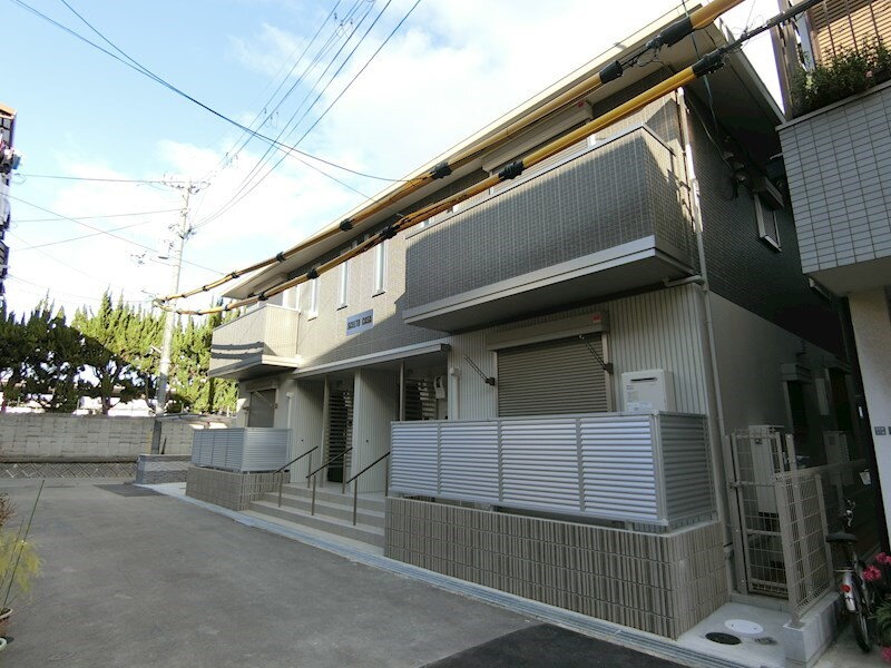 ＳＣＥＬＴＯ　ＣＡＳＡ