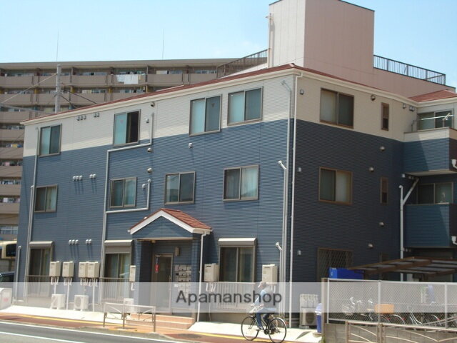 洵