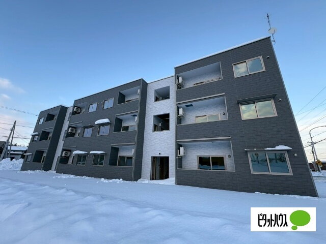 仮）西１７南３６ＡＰ