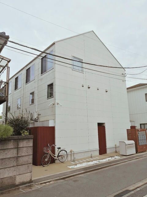 Ｍａｉｓｏｎ　Ｎｅｋｏ　ＨＯＧＯＭＯ　ＣＡＴ