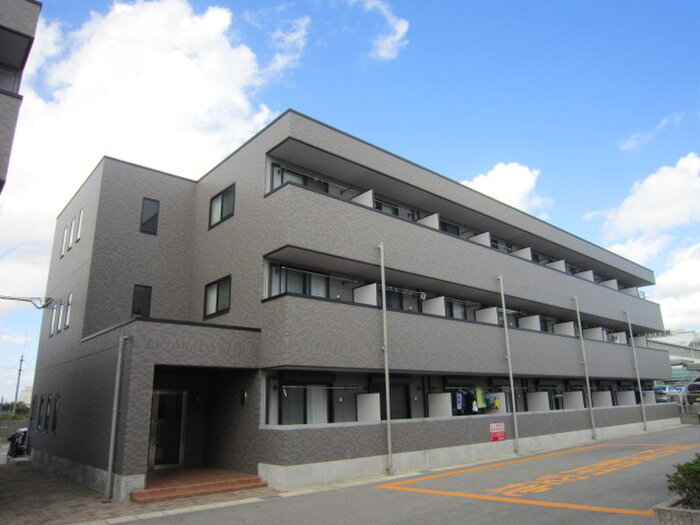 アンプルール　フェール　Ｍｓ　ＩＩ