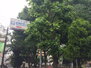 日神デュオステージ板橋駅前 板橋駅前公園（公園）まで208m