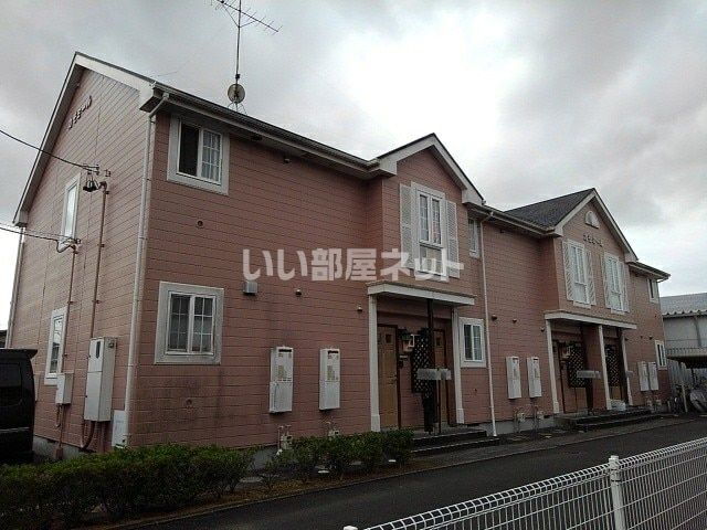 カモミール