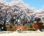 コーポ清水台 清水公園（公園）まで985m