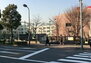 グランドメゾン恵比寿の杜（グランドメゾンエビスノモリ） 渋谷区立加計塚小学校（小学校）まで348m