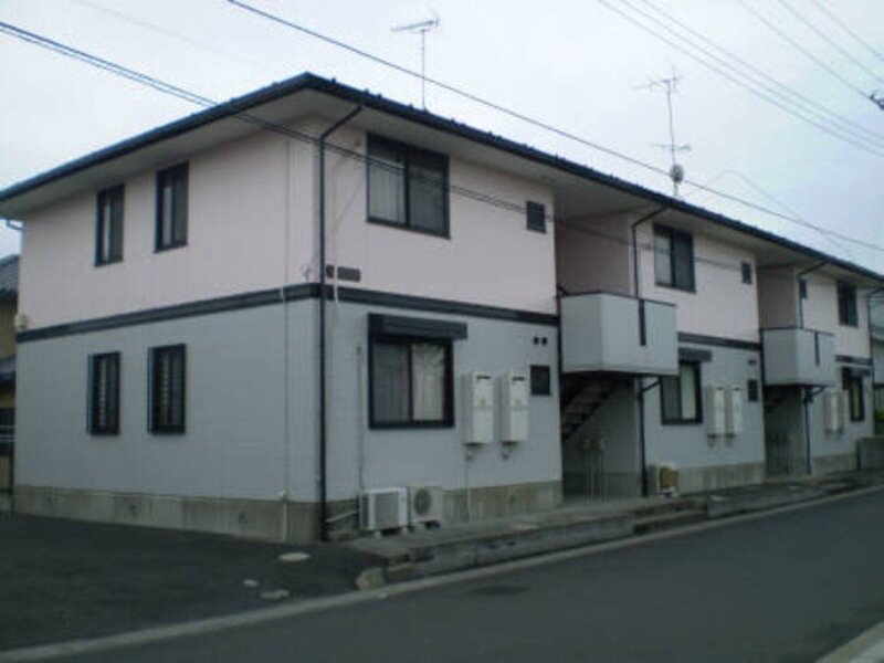 セントポーリア