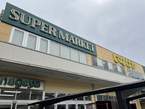 サザンクロス綱島Ａ いなげや横浜綱島店（スーパー）まで331m