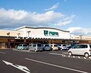 アベニューＡ ハピーズ円山店（スーパー）まで844m