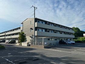 コスモパークC棟 東海駅 1LDK 賃貸(賃貸マンション・アパート)