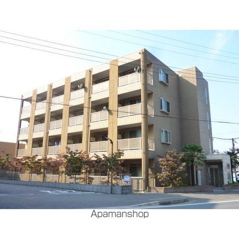 アンプルールフェールＣＯＣＯ