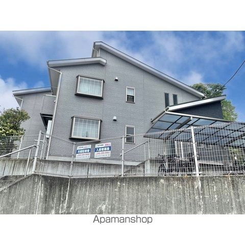 アムール　シュシュ