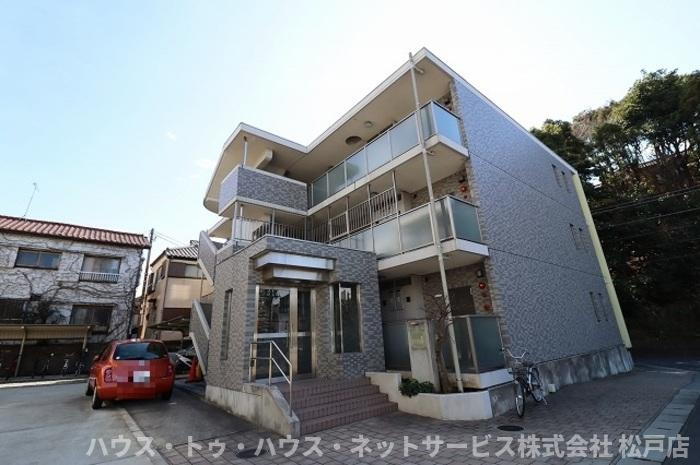 Ｍａｇｎｏｌｉａ　ｃｏｕｔ