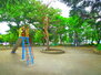 グラン　マノワール 松戸中央公園（公園）まで550m