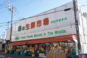 周辺環境