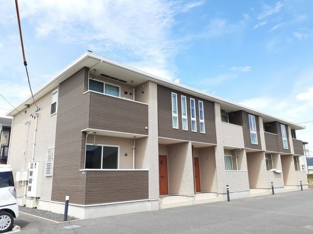ステラ光
