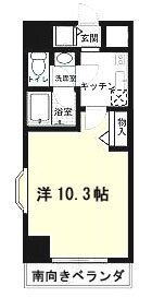 大阪府吹田市江坂町２ 江坂駅 1K マンション 賃貸物件詳細