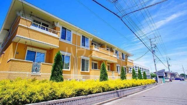 ミニョン・エレガンテ