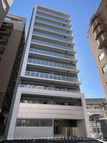 Ｍｙｓ　Ｃａｓｅｔｔａ　Ｋｏｋｕｒａ